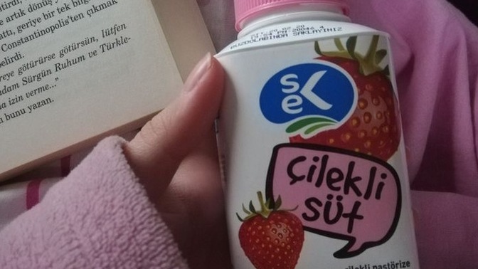 İçiyorum hergece hergece başka bir eğlence? Ne yapıyorsunuz bakalım?