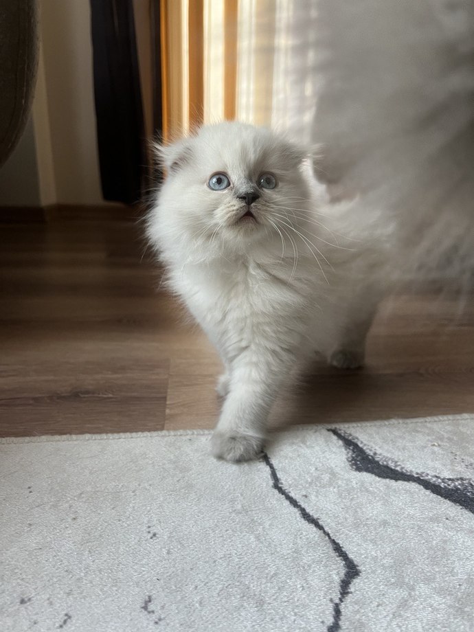 Cep telefonunuzla en son ne fotoğrafı çektiniz?