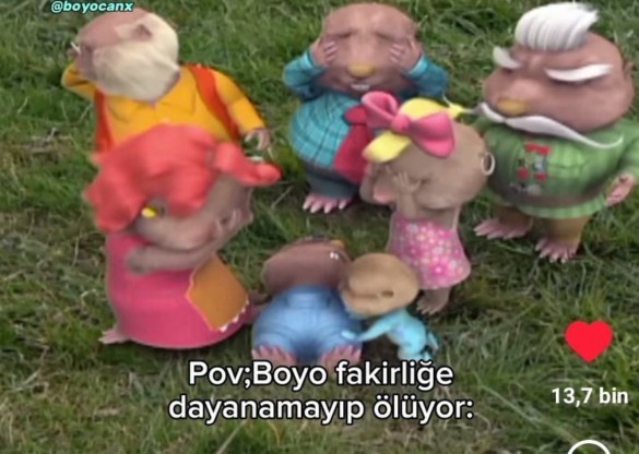 Sizin maddi acidan güncel durumunuz nedir?