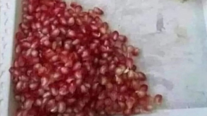 Sinirden elim ayağım titriyor, hani çarşıdan aldın 1 tane eve geldin 1000taneydi, saydım 743 çıktı yazıklar olsun🤭? yalanmıydı?🤭?