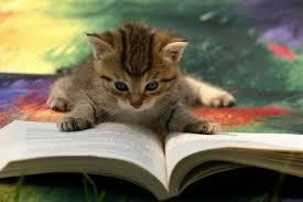 Merakla okumak istediğiniz kitap size anlatılırsa ne yaparsınız?