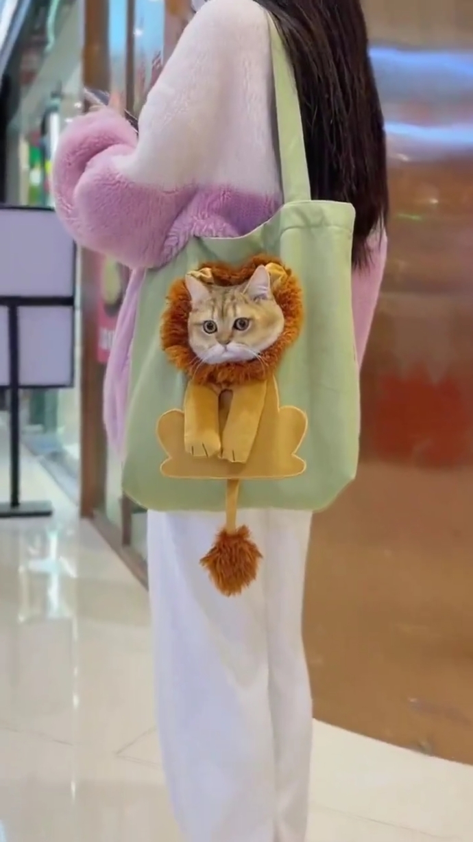 Kedi fotoğrafı paylaşır mısın lütfen?