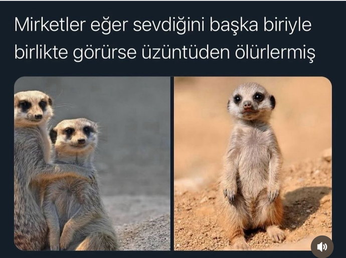 Sevdiğini başkasıyla görsen üzülür müsün?