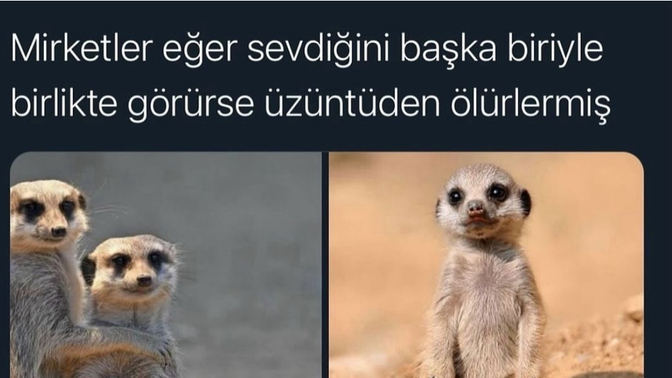 Sevdiğini başkasıyla görsen üzülür müsün?