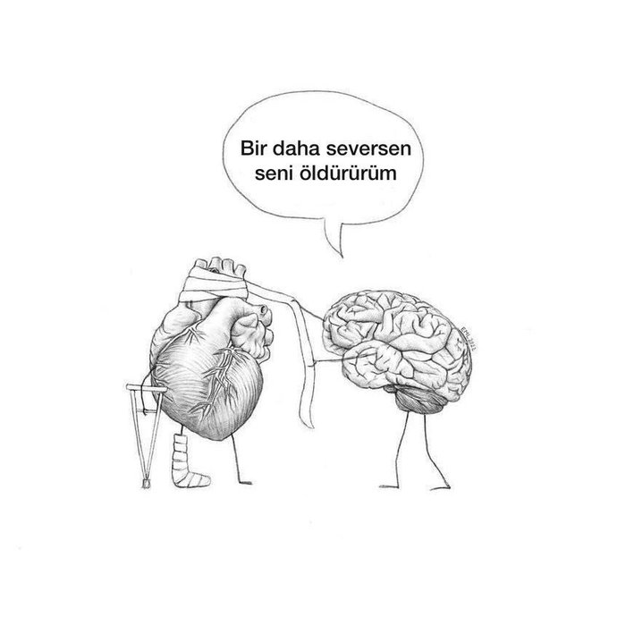 Hiç mantığınız ile duygularınız arasında kaldınız mı?