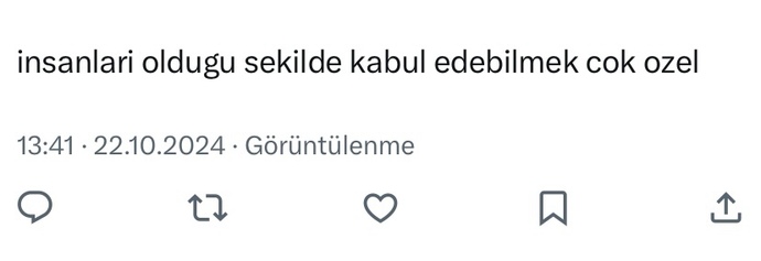 Burada ne denmek istemiss?