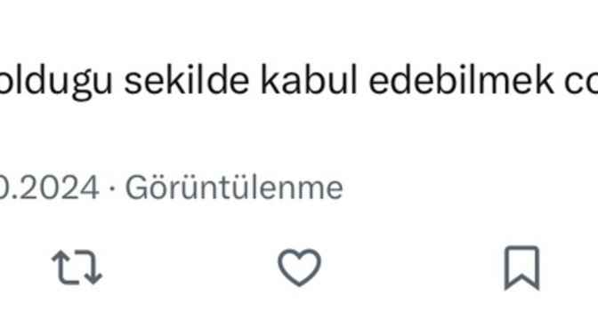 Burada ne denmek istemiss?