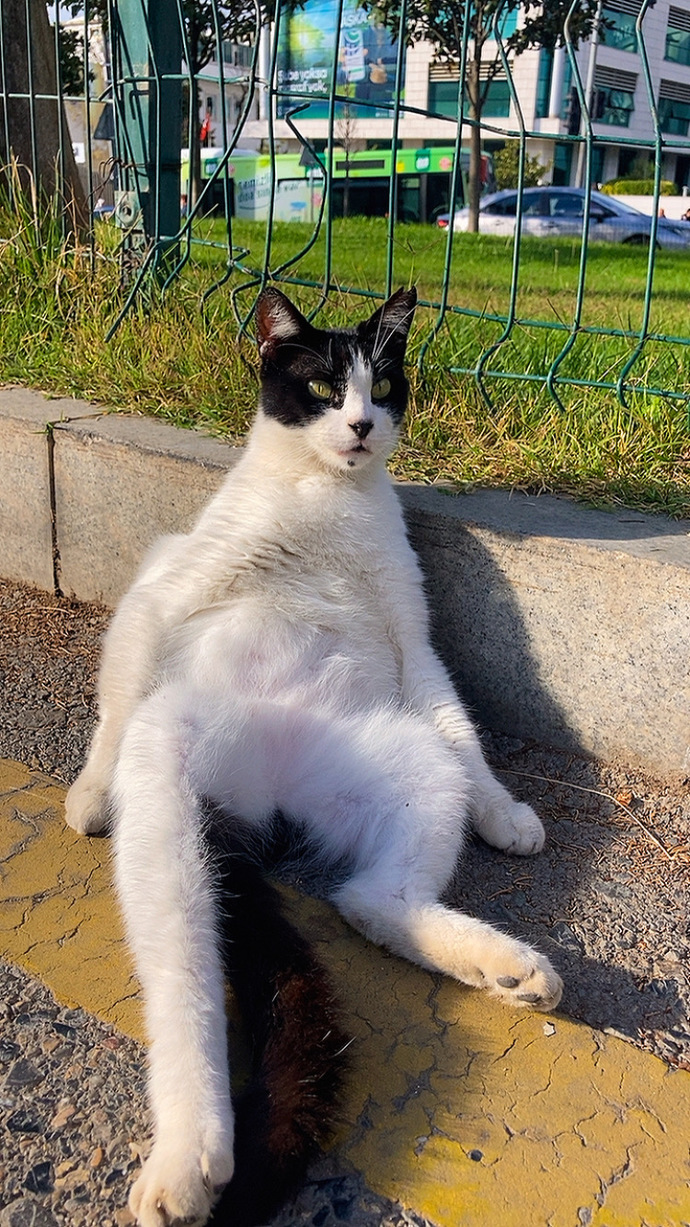 Siz de akşam yemeğini fazla kaçırınca böyle oluyor musunuz 🤔?