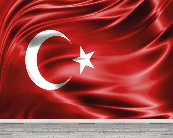 Devlet Bahçelinin açıklamalarını nasıl buldunuz?