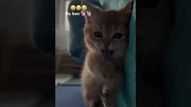İşlerinizi bitirip dizi izlediniz mi?