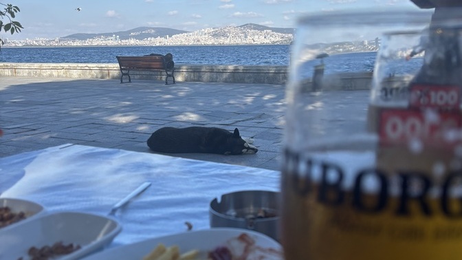 Şu manzarada, seninle.. Dediğiniz üye var mı?