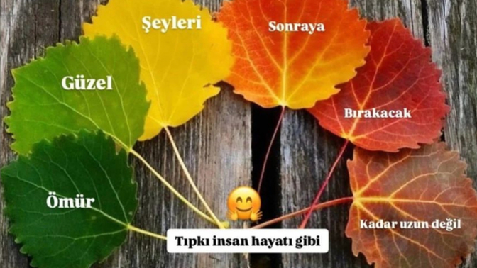 Ertelediğiniz güzel şeyler var mı hayatınızda?