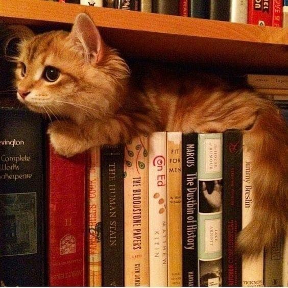 Hayatına ne girerse kendini tamamlanmış hissedersin?
