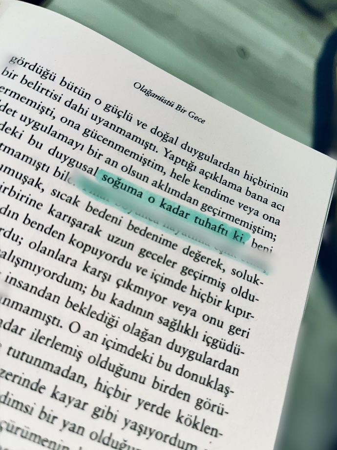 Kitaplardaki müstehcen betimlemeler iter mi çeker mi?