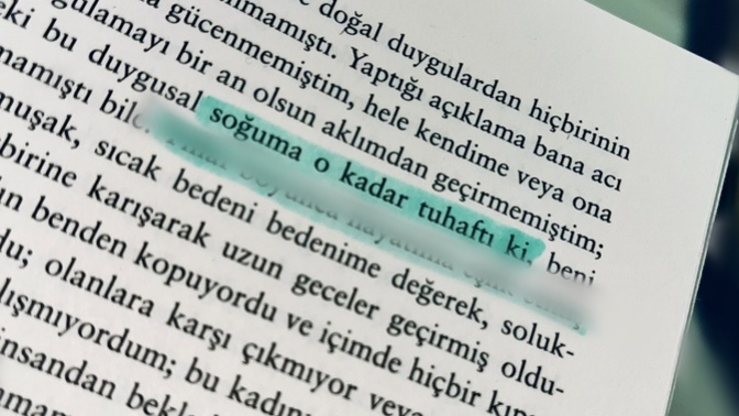 Kitaplardaki müstehcen betimlemeler iter mi çeker mi?