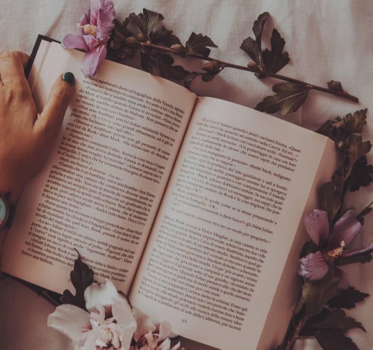 Kendinize en yakın hissettiğiniz kitap karakteri hangisidir?
