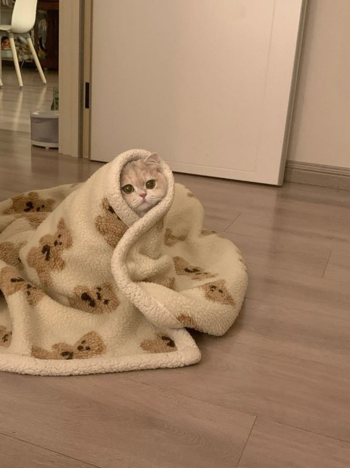 Kışın Üşümemek İçin Nasıl Önlemler Alıyorsunuz?