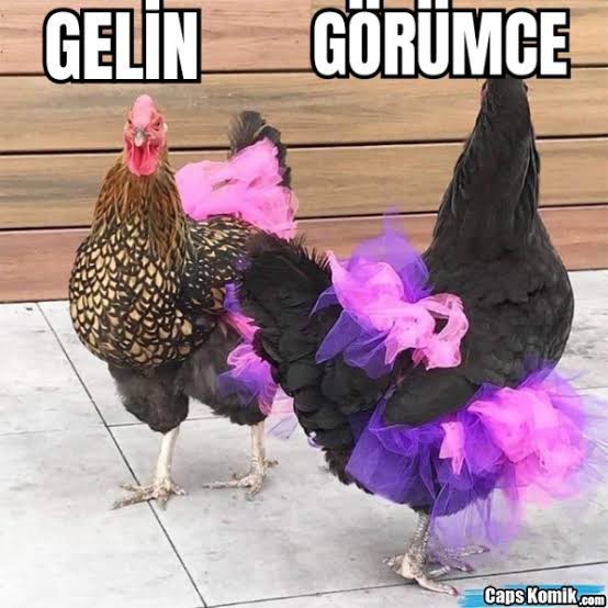 Evin kızı ile gelini eşit midir?