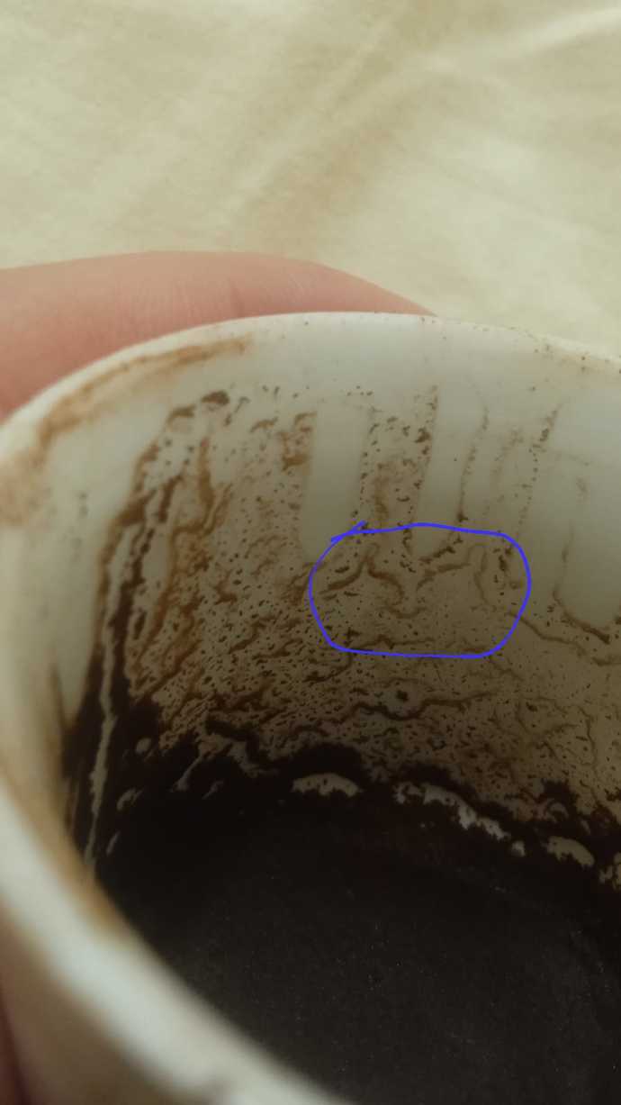 Falda tavşan görmek ne anlama geliyor?