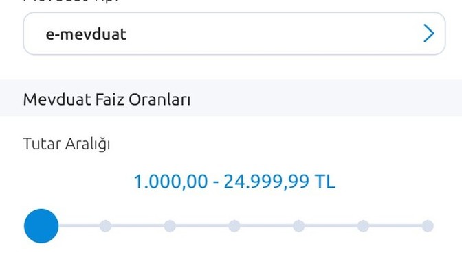 Burada neyden bahsediyor yatırım yapan var mı tavsiyeniz neler?