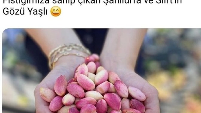 Tescilli Antep fıstığı Dünyanın en iyi ikinci kuruyemişi seçildi. En sevdiğiniz kuruyemiş ne?