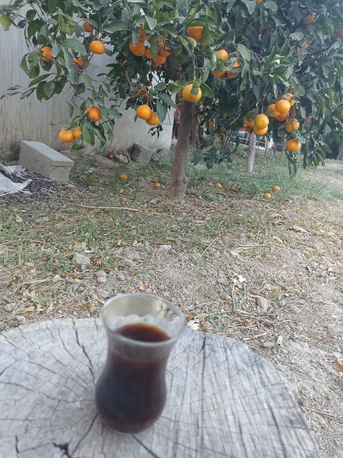 Şu an bulunduğuz yerin önünü çekseydiniz, ne görmüş olurdum?