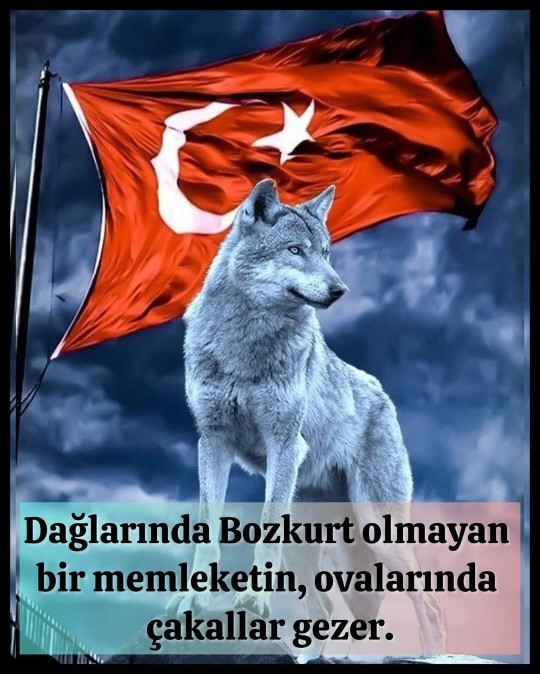 Güne güzel bir söz bırakır mısın?
