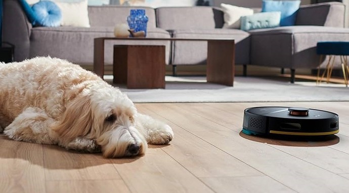 Köpeğim çok tüy dökmeye başladı kullanışlı ve sağlam süpürge önerisi?