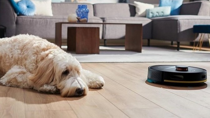 Köpeğim çok tüy dökmeye başladı kullanışlı ve sağlam süpürge önerisi?