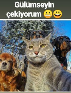 Fotoğraf çekinmeyi severmisiniz?