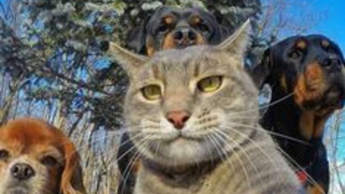 Fotoğraf çekinmeyi severmisiniz?