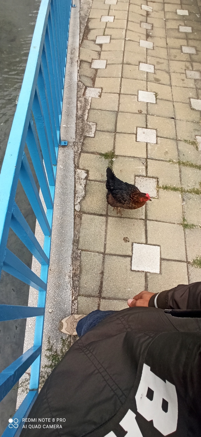 Gü nay dınnnn 🌞🦋 Nasıl hissediyorsun?