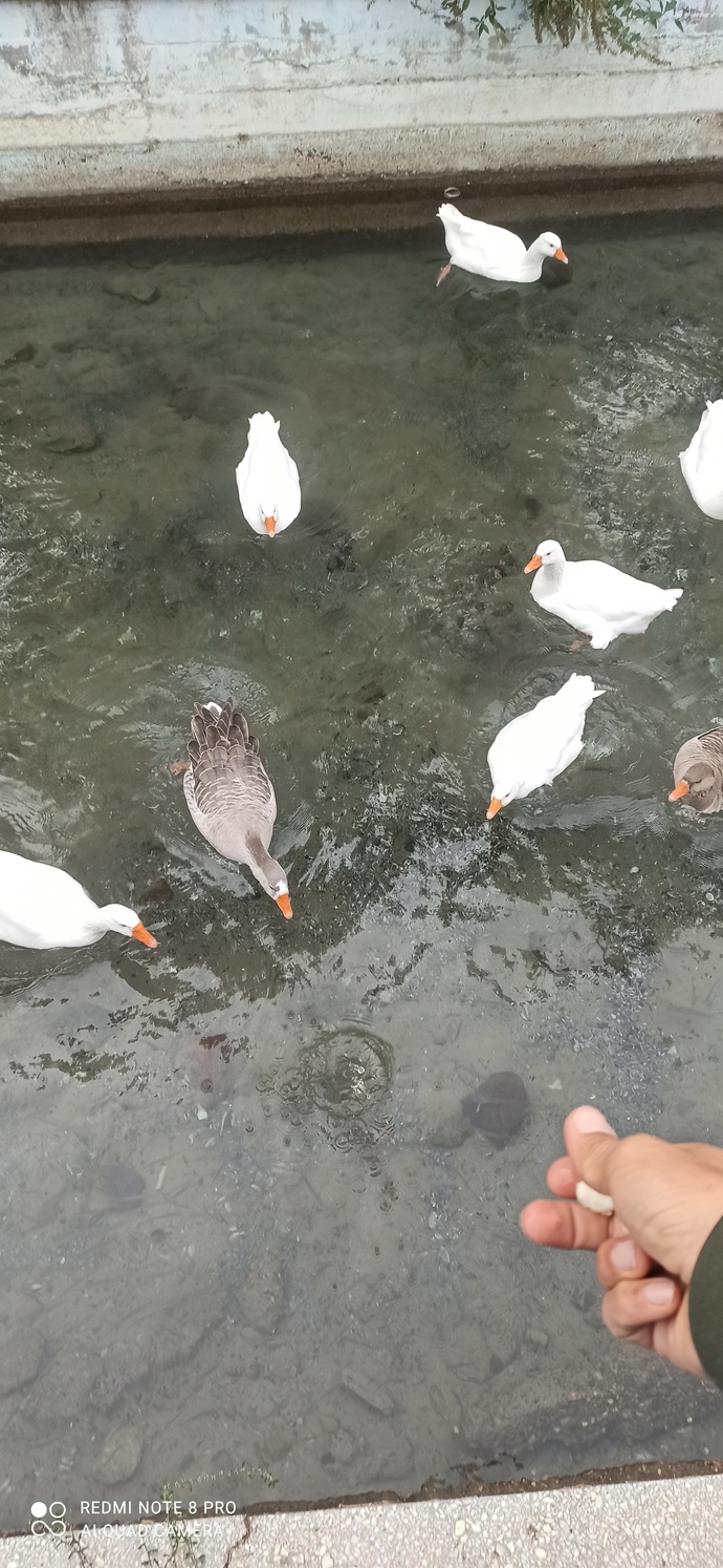 Gü nay dınnnn 🌞🦋 Nasıl hissediyorsun?