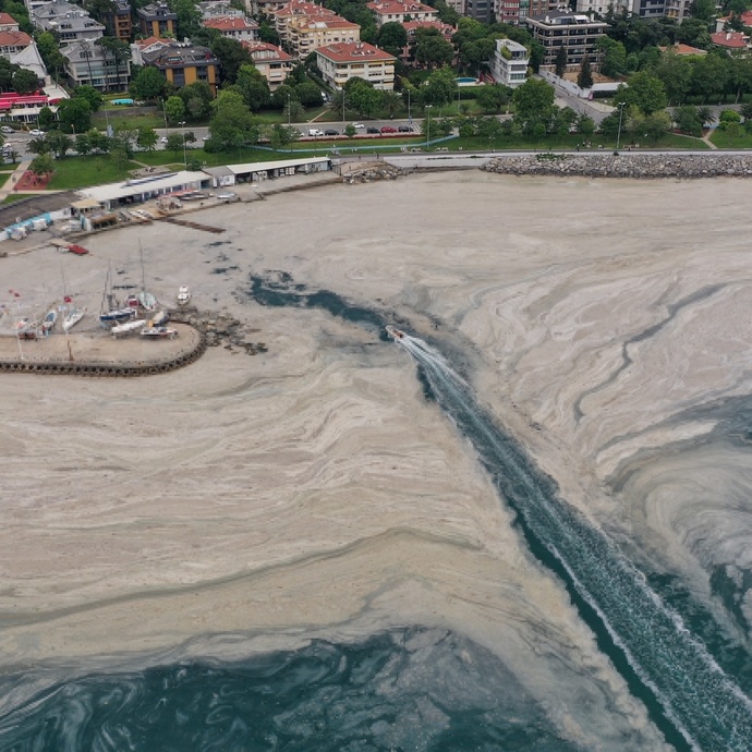 Marmara Denizinde müsilaj geri döndü. Müsilaj sorununa kalıcı bir çözüm için neler yapılmalı?