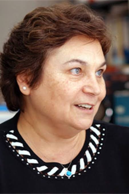 Prof. engin arıkı tanıyormusunuz?