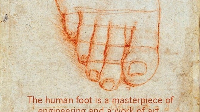 En büyük dehalardan biri olan Leonardo da Vinci"Ayak, bir mühendislik harikası, sanat eseridir"demiş. Siz ne düşünüyorsunuz?