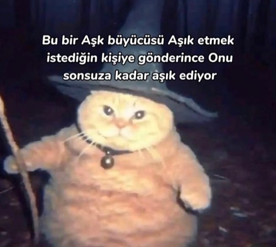 Kendisine şunu atmak istediğiniz biri var mı?
