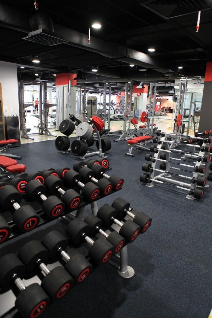 Spor yapan insanları gereksiz egolu buluyor musunuz?