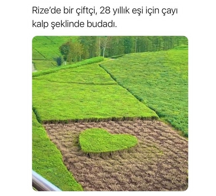 Romantik biri misiniz?