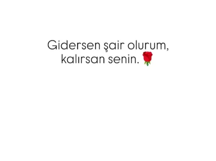 Gidersen Şair olurum, Kalırsan Senin sözü kadar sevdiniz mi?