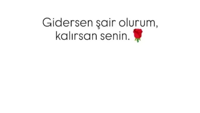 Gidersen Şair olurum, Kalırsan Senin sözü kadar sevdiniz mi?