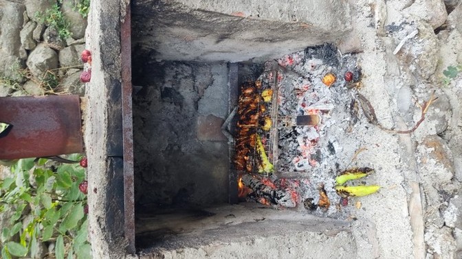 Mangalda ne seversiniz?