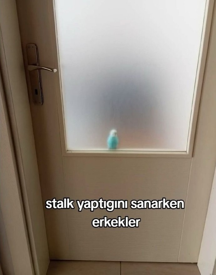 Stalk konusunda erkekler mi daha başarılı kadınlar mı?