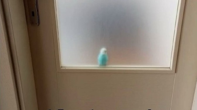 Stalk konusunda erkekler mi daha başarılı kadınlar mı?