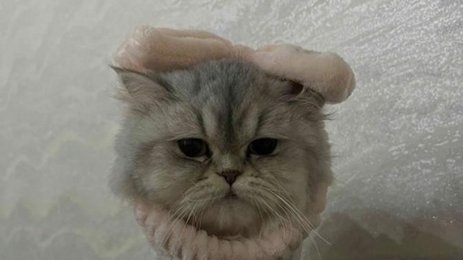 Sadece bir kızla veya hiç bi kızla konuşmayan erkekler de var mıdır acaba😀?