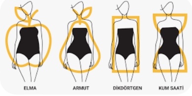 Kadınlarda en iyi vücut tipi hangisi sizce?