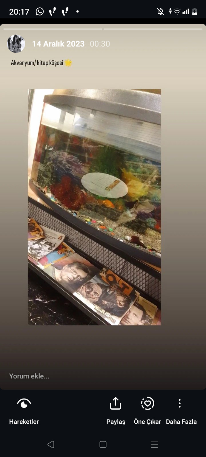 Eskiden veya şimdi abone olduğunuz bir dergi var mı Varsa bu dergi ne?