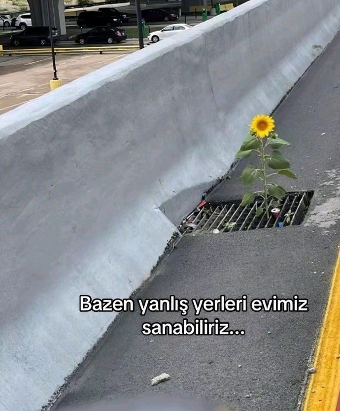 🥀