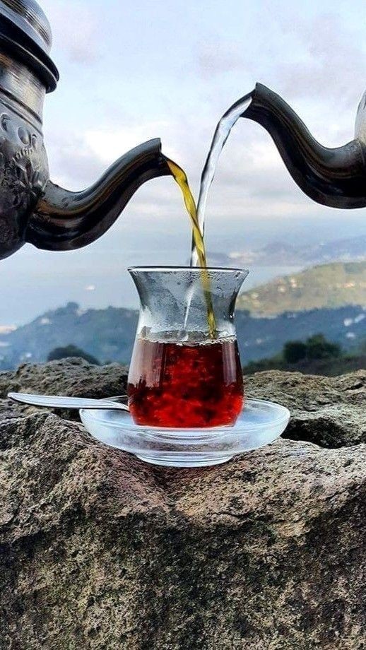 Mutlaka her gün içimde olmalı, ben onsuz yapamam dediğiniz o içecek hangisidir?