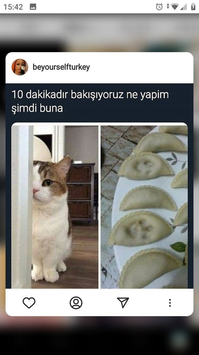 Hayatınızda bir baş belası var mı?
